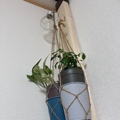 【 2×4杉材 穴あり mm１本 お譲りします 】