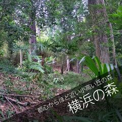 お参りするなら都心からほど近い散骨スポット　【横浜の森】