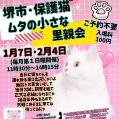 2月4日（日）里親会参加★ポン太君★ - 里親募集