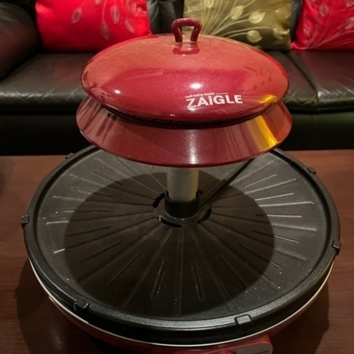その他 ZAIGLE