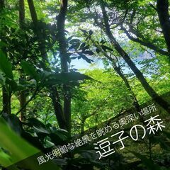 富士山と江ノ島を見渡す風光明媚なスポット　【逗子の森】