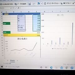 【お話中】Excel関数やグラフまでをワンツーマンで5万で教えて下さい