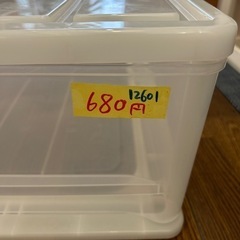 配達可【衣類ケース】クリーニング済み【管理番号12601】の画像