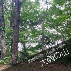 相模湾を望む小高い山の散骨スポット　【大磯の山】
