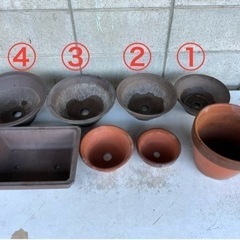 ②植木鉢12個セット 盆栽 ガーデニングに図書券、商品券(JCB.VISA.イオン)でも可能の画像