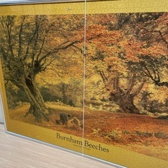 完成したパズルあげますの画像