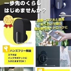 キュリオロック キュリオハブ キュリオキー2個の画像