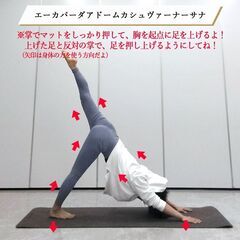 【エーカパーダアドームカシュヴァーナーサナ】＆ 🗓️ヨガスケジュ...