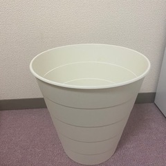 【決まりました】2月15日までに取りに来てくださる方優先