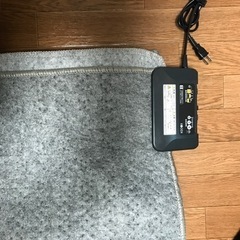 [27日午前中に取りに来てくださる方]電気ホットカーペット2畳用