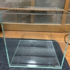 ADA 30cm キューブガーデンの画像