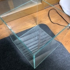 ADA 30cm キューブガーデンの画像