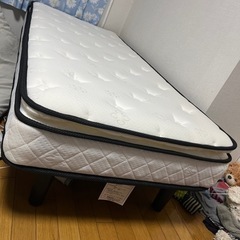 引っ越しの為に出費　買って半年　説明書器具付き