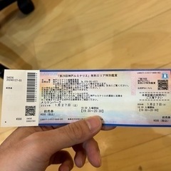 神戸ルミナリエ2024 27日チケット