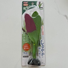 水草　エキノドルス　鑑賞魚用アクセサリー