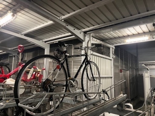 シマノ　SHIMANO 7段変速付き街乗り　軽量　自転車　クロスバイク