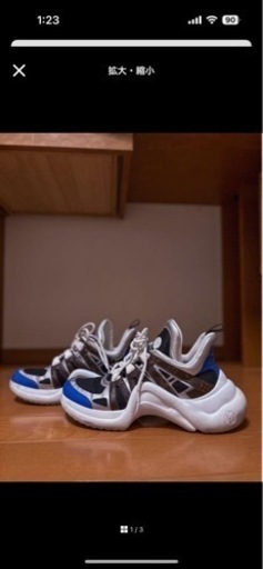 Louis Vuitton アークライトサイズ27.5