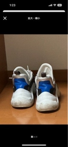 Louis Vuitton アークライトサイズ27.5