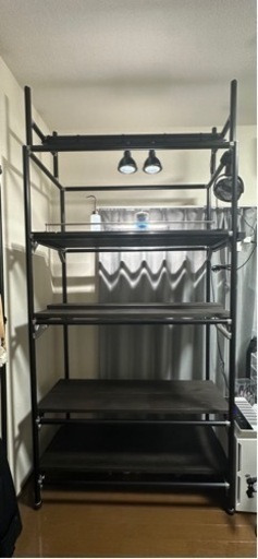 G-fan ラック　観葉植物