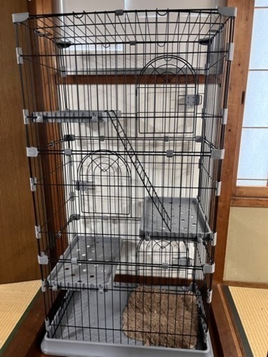 猫ゲージ　　キャットゲージ
