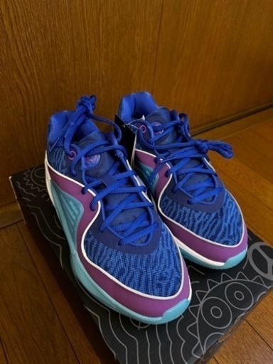 NIKE KD16 新品未使用品　25.5㎝