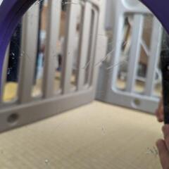 ミュージカルキッズランド6枚組(取引中)の画像