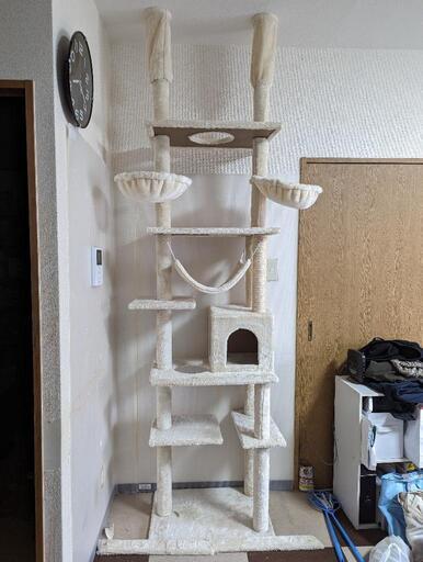 【讓渡先決定】キャットタワー