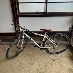 GIOS MISTRAL（白）
