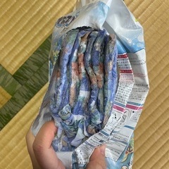 ムーニー　水あそびパンツ　6枚の画像