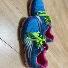 上履き23cm