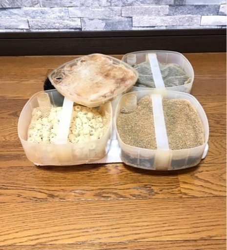 《取引成立》テトラ バリュー エックス パワー フィルター 75