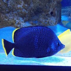 🐤🐓あなた都合にコミットします★★まずは1日だけ～など働き方はご...