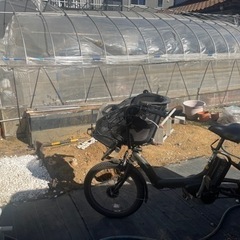 ハウス骨組み　撤去までお願いします。