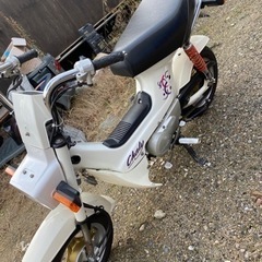 シャリー　プチカスタム　ソク乗り車　お宝出品の画像