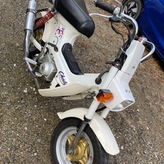 シャリー　プチカスタム　ソク乗り車　お宝出品の画像