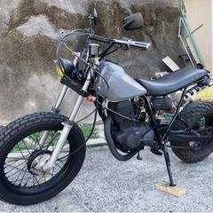 長崎からカッコよし！TW200の画像