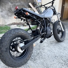 長崎からカッコよし！TW200の画像