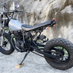 長崎からカッコよし！TW200の画像