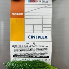 ユナイテッドシネマ　映画チケット