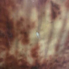 国産　オガサカ製スノーボード　153cm DEVGRU 定価72000の画像