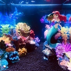アリエル　リトルマーメイド　レイアウト水槽　メダカ　ジブリ　ポニョ　オーナメントの画像