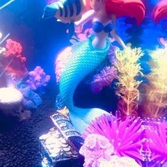 アリエル　リトルマーメイド　レイアウト水槽　メダカ　ジブリ　ポニョ　オーナメントの画像