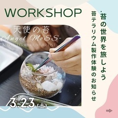 3月23日　パレット柏　苔テラリウム手作り体験について