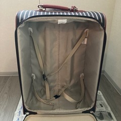 布製キャリーケースの画像