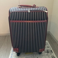 布製キャリーケース