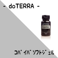 doTERRAの中古が安い！激安で譲ります・無料であげます(2ページ