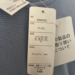 大きいサイズ ワンピース(未使用品)袖のレースが可愛いワンピースの画像