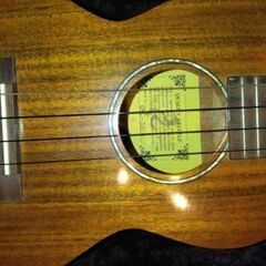 ウクレレ（ケース付）の画像