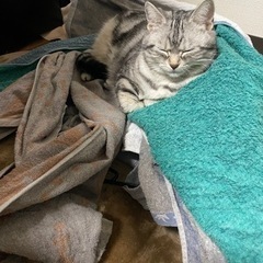 バンドメンバー募集中