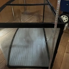 90センチ水槽の画像